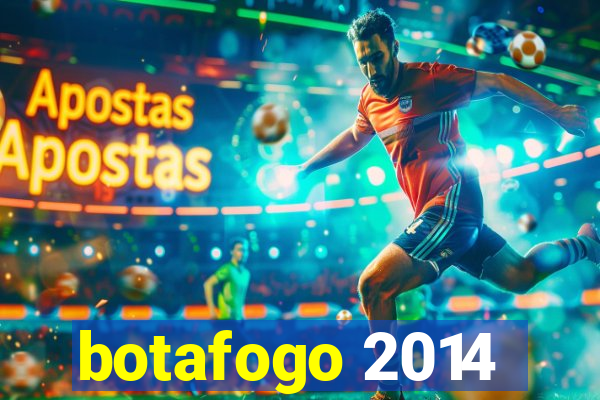 botafogo 2014