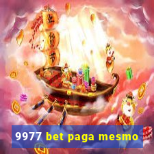 9977 bet paga mesmo