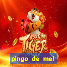 pingo de mel cruzeiro sp