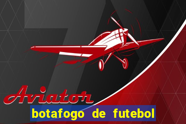 botafogo de futebol e reg