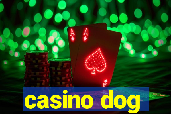 casino dog