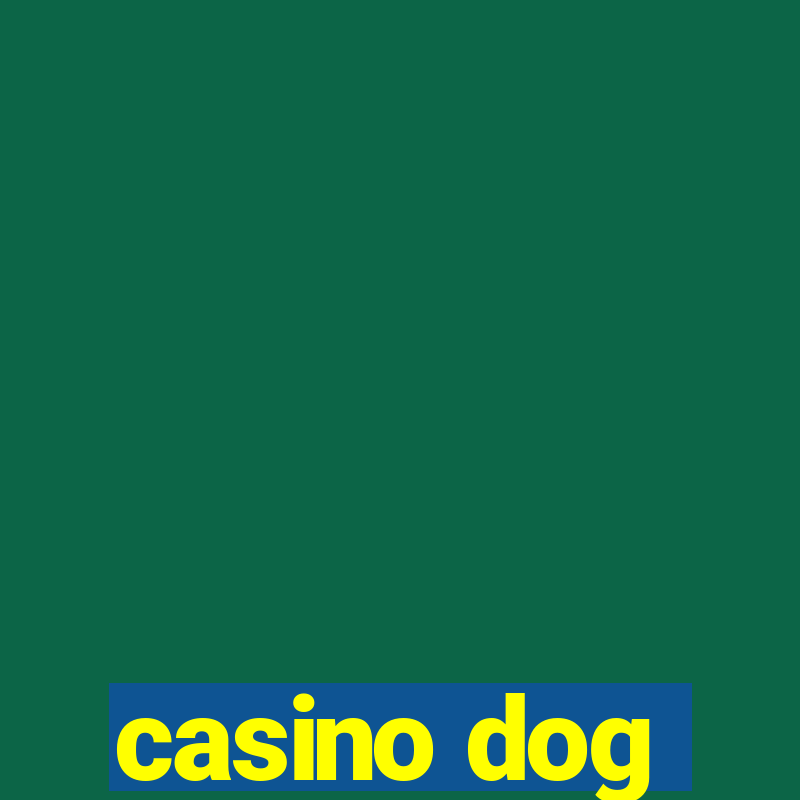 casino dog