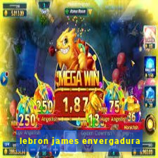 lebron james envergadura