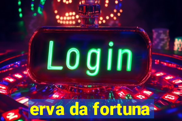 erva da fortuna