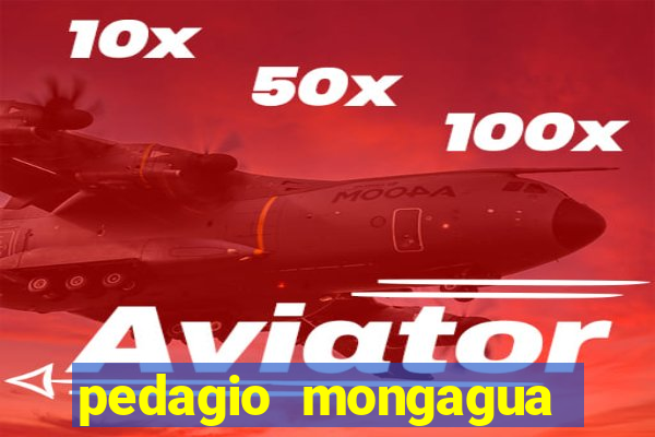 pedagio mongagua sao paulo