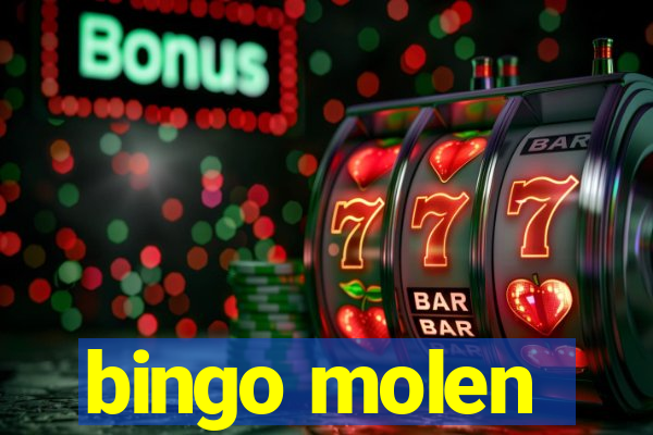 bingo molen