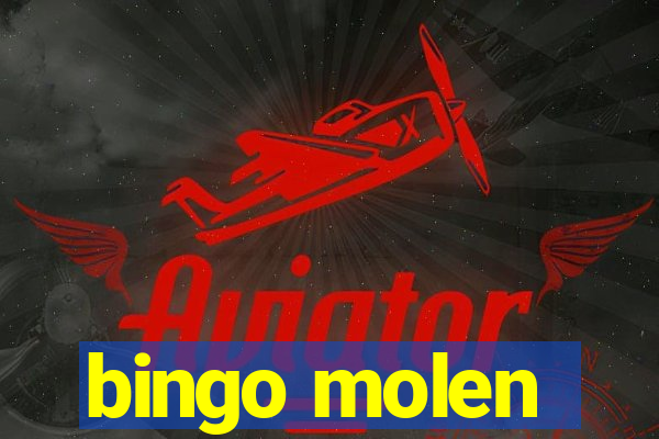 bingo molen