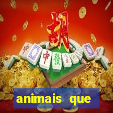 animais que produzem alimentos