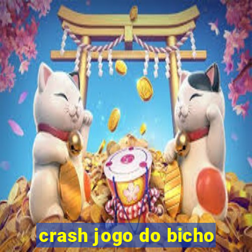 crash jogo do bicho