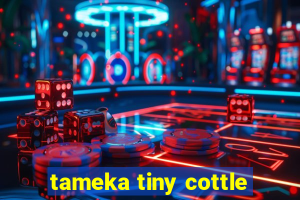 tameka tiny cottle