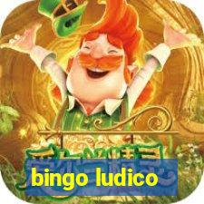 bingo ludico