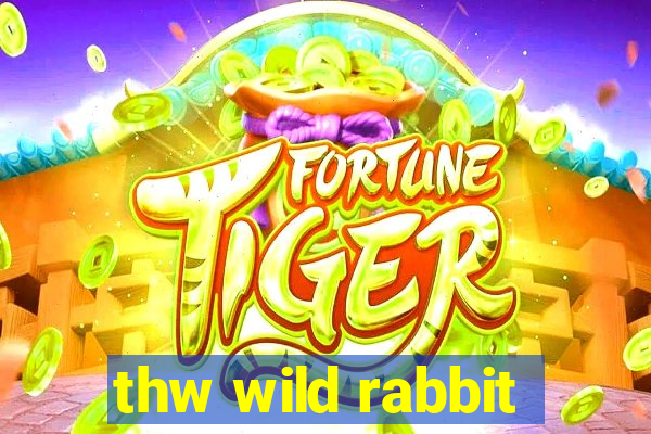 thw wild rabbit