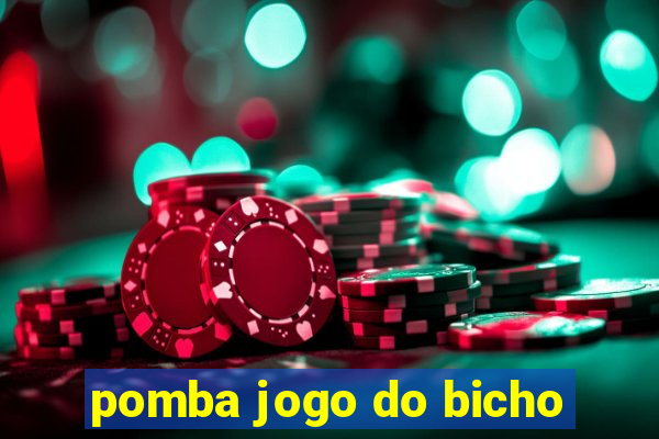 pomba jogo do bicho