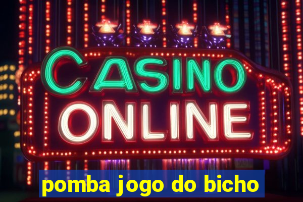 pomba jogo do bicho