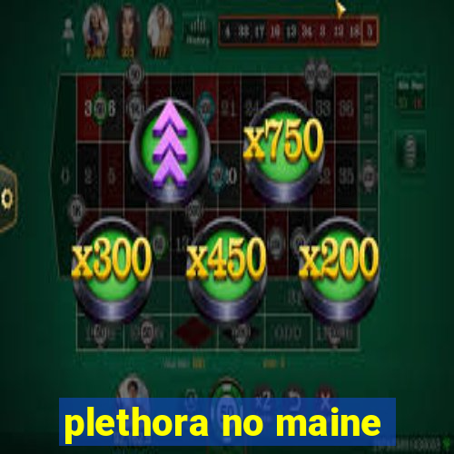 plethora no maine