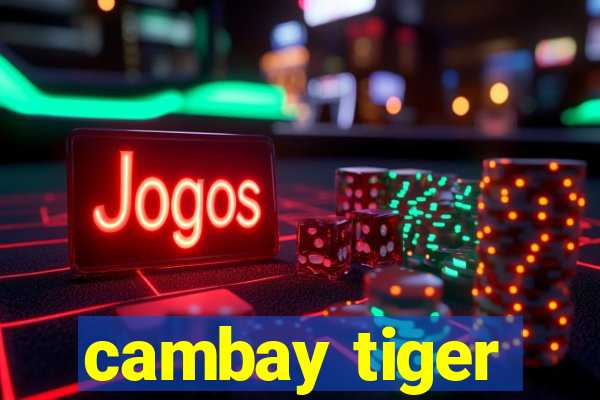 cambay tiger