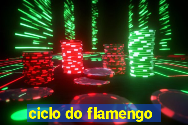 ciclo do flamengo