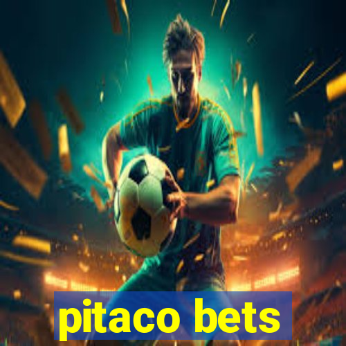 pitaco bets