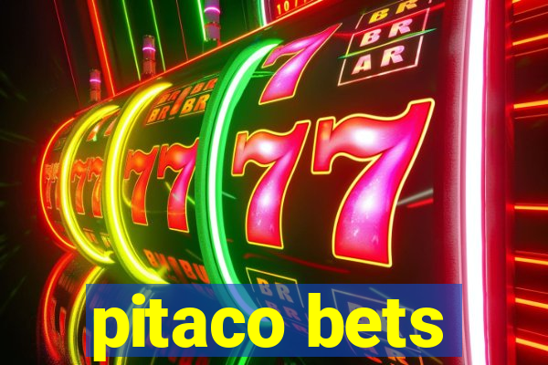 pitaco bets