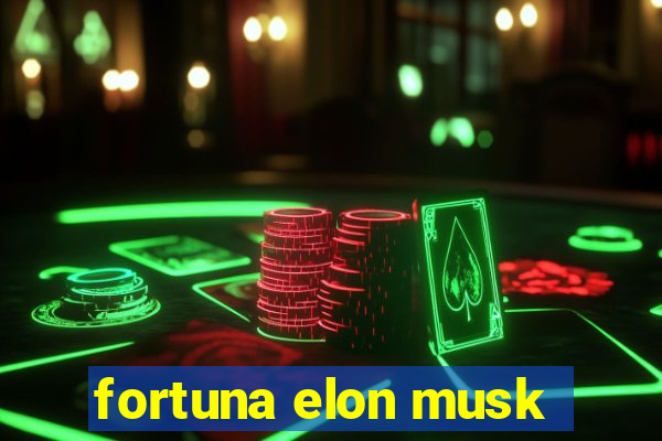 fortuna elon musk