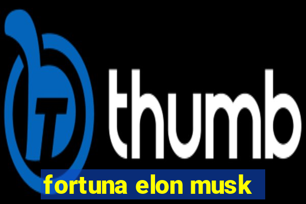 fortuna elon musk