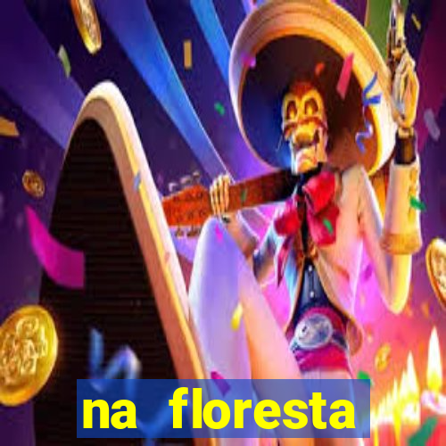 na floresta encantada meme