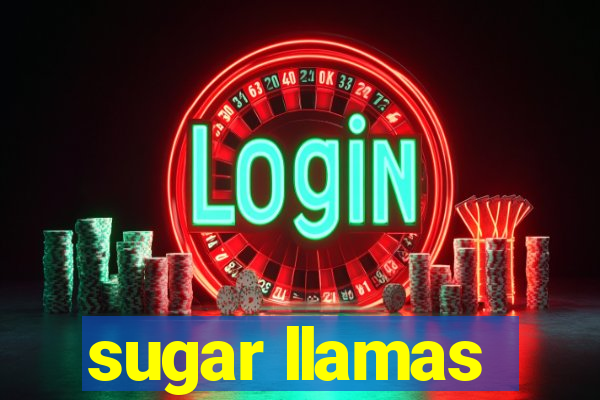 sugar llamas