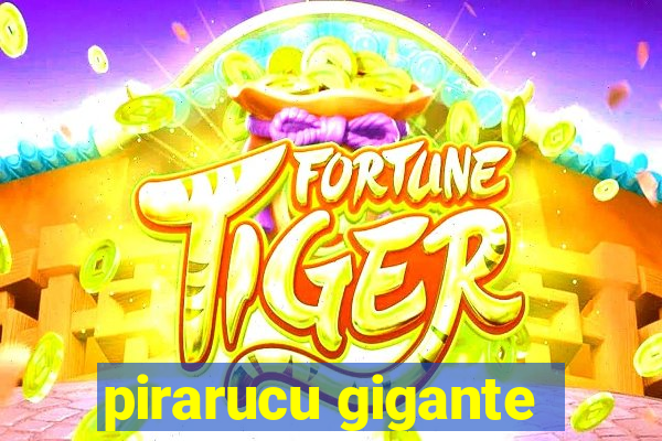 pirarucu gigante