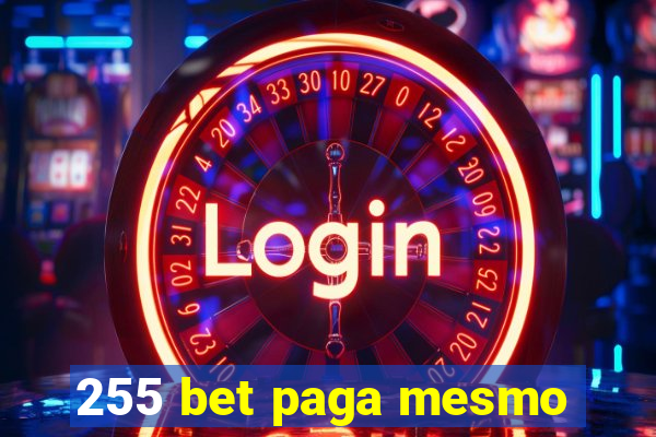 255 bet paga mesmo