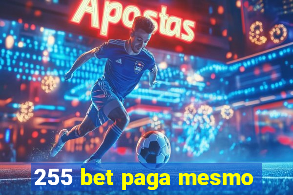 255 bet paga mesmo