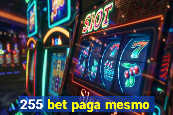 255 bet paga mesmo