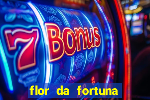 flor da fortuna como cuidar