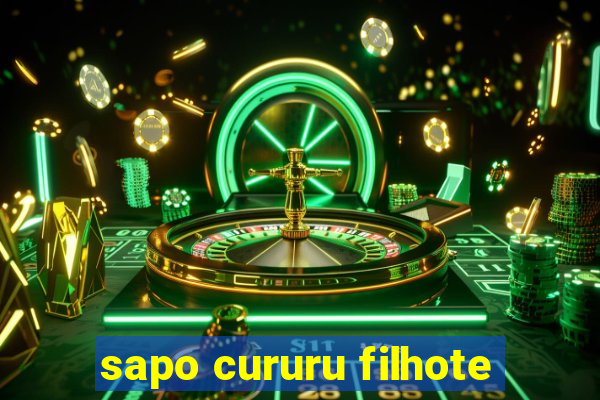 sapo cururu filhote