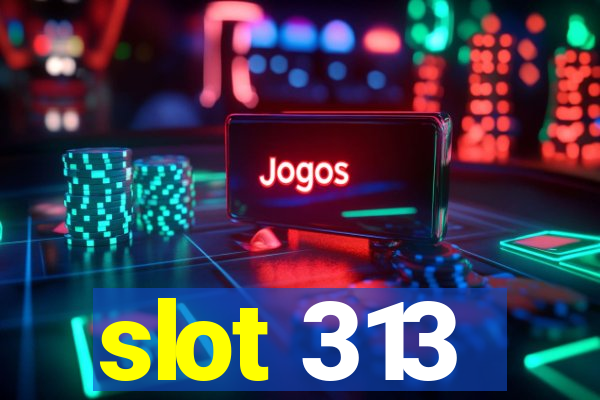 slot 313