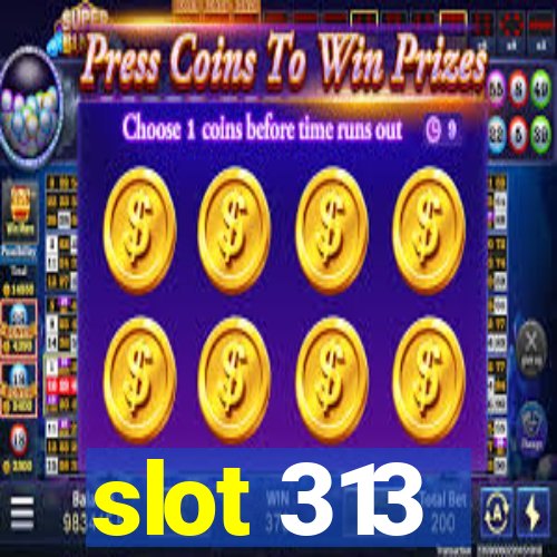 slot 313