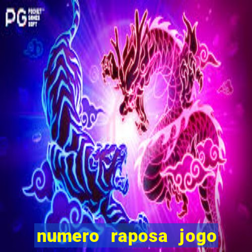 numero raposa jogo do bicho