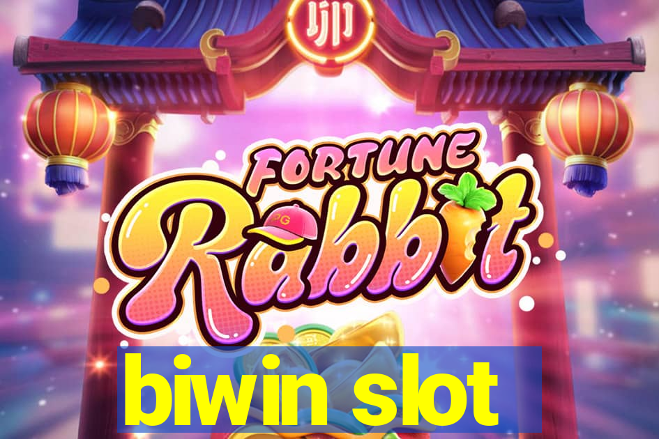 biwin slot