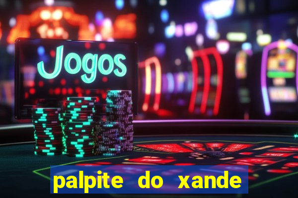 palpite do xande de hoje