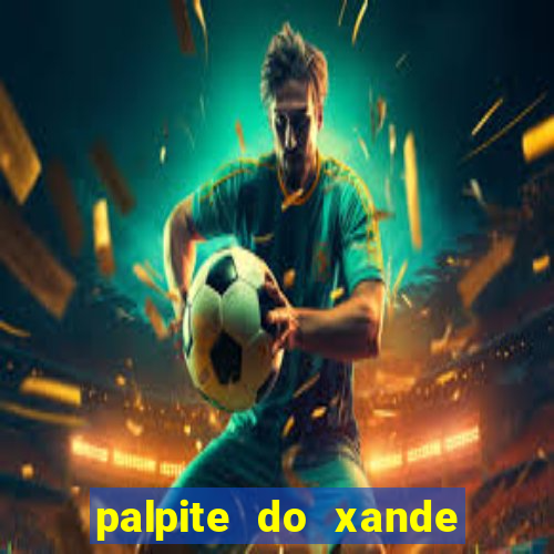 palpite do xande de hoje