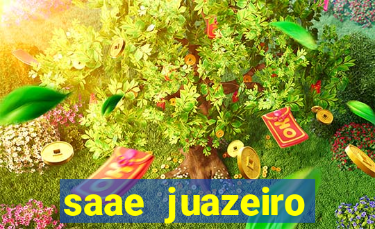 saae juazeiro segunda via