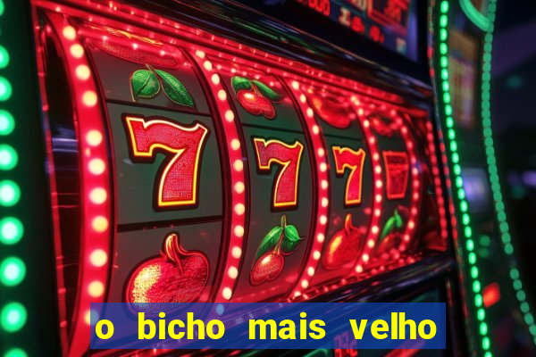 o bicho mais velho da loteria dos sonhos