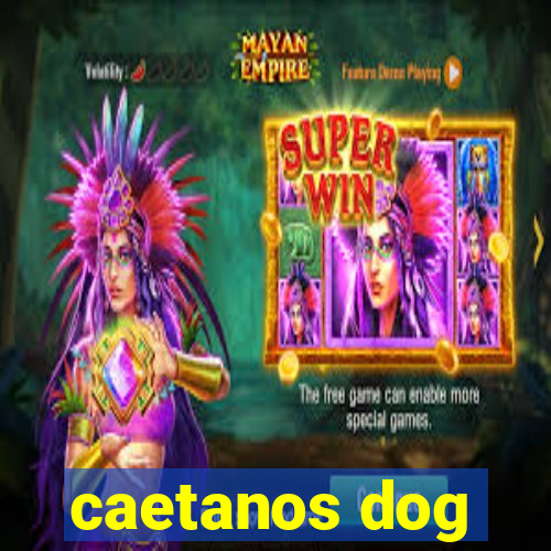 caetanos dog