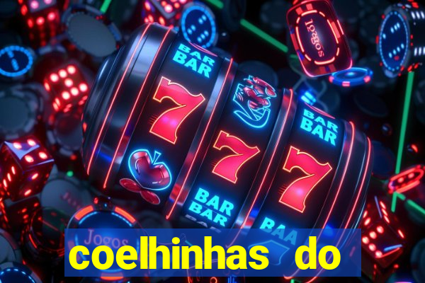 coelhinhas do brasil recife