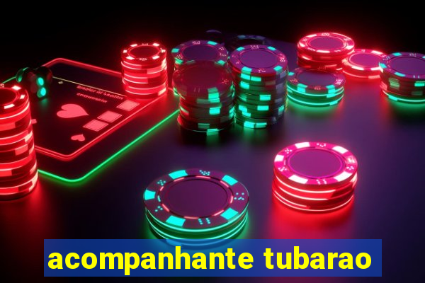 acompanhante tubarao