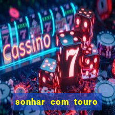 sonhar com touro bravo no mundo espiritual