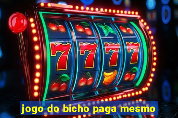 jogo do bicho paga mesmo