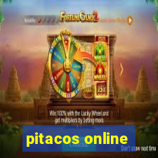 pitacos online