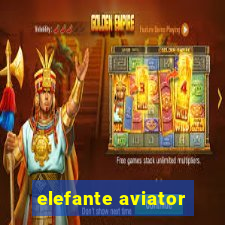 elefante aviator