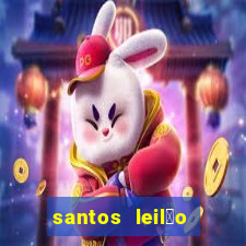 santos leil茫o passo fundo