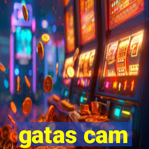 gatas cam